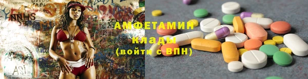 индика Михайлов