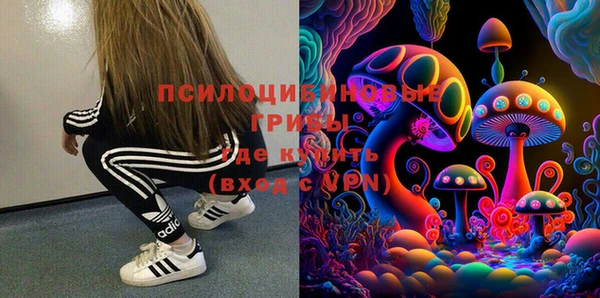 амф Михайловск