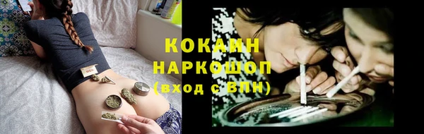 индика Михайлов