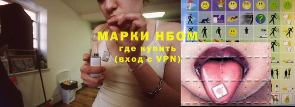 индика Михайлов