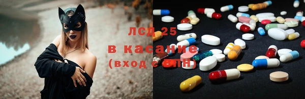прущие грибы Сосновка