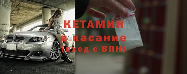 индика Михайлов