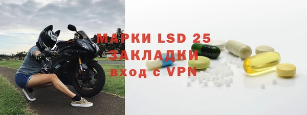 индика Михайлов