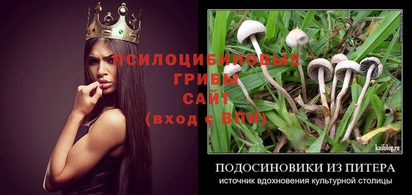 амф Михайловск
