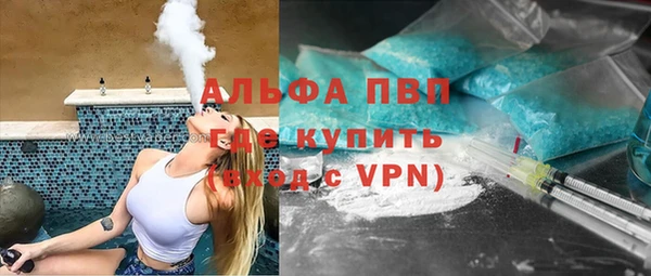 индика Михайлов