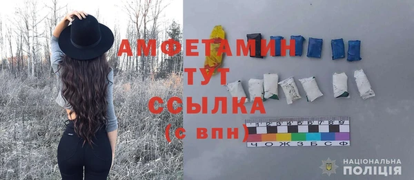 индика Михайлов