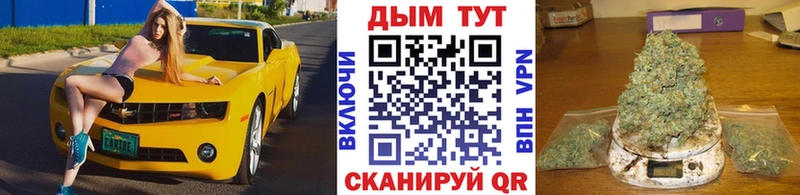 цена   Юрьевец  Бошки Шишки тримм 